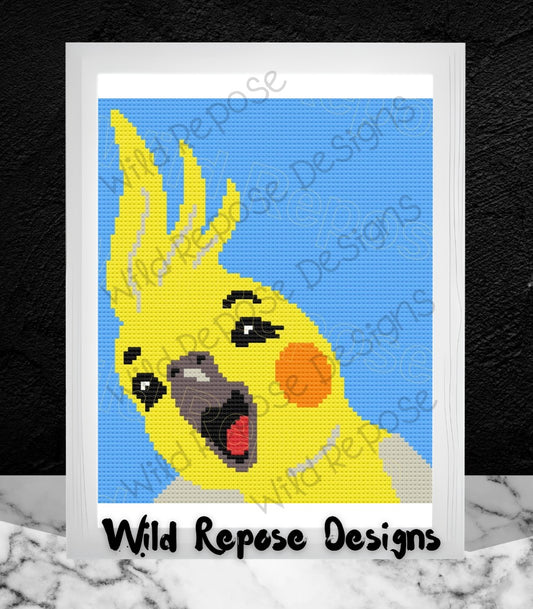 Happy Cockatiel Crochet Pattern C2C 80 X 95