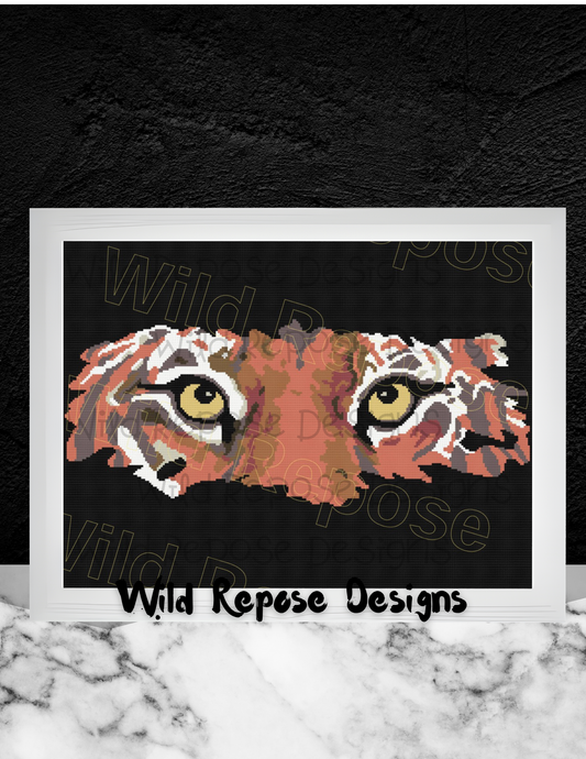 Tiger Eyes Crochet Pattern 240 x 192