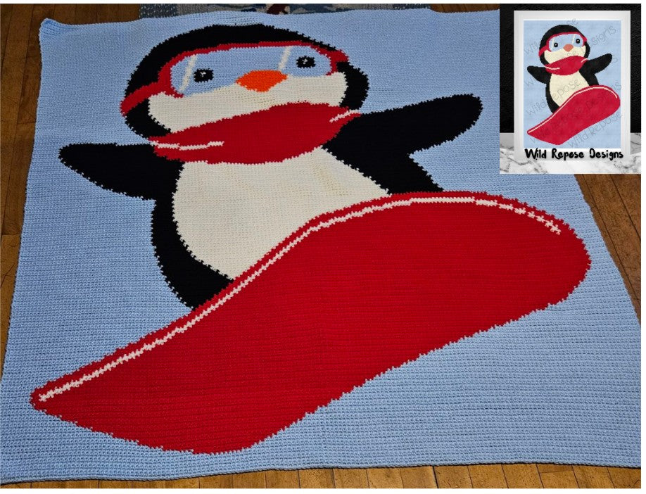 Penguin Snowboard Crochet Pattern 160x200