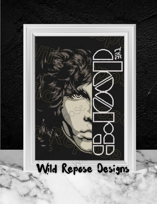 THE DOORS (Jim Morrison) Crochet Pattern 240 x 320