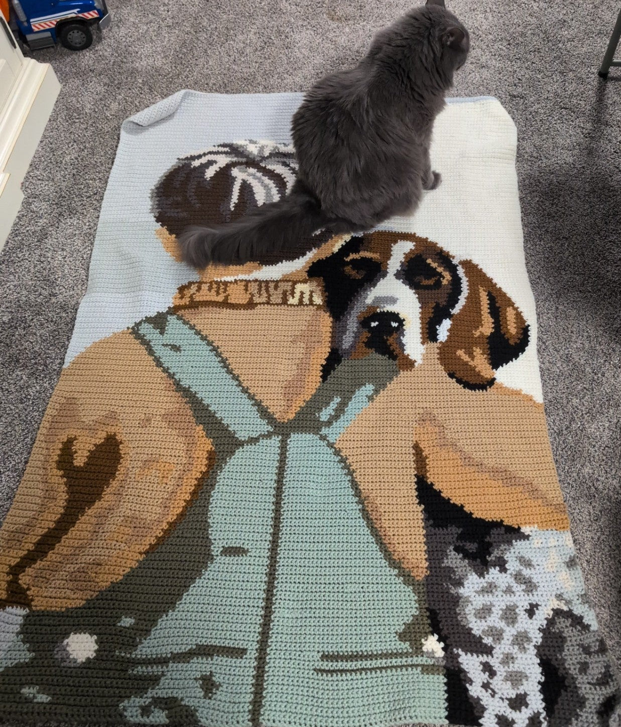 finished boy with dog Afghan