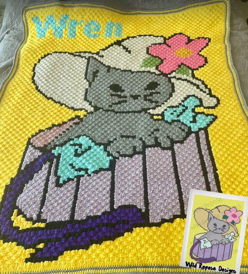 Cat in a Hat Box C2C